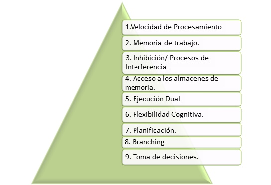 Las funciones ejecutivas guían nuestra conducta. | - Sesma Psicología Adulto-Infantil en Murcia